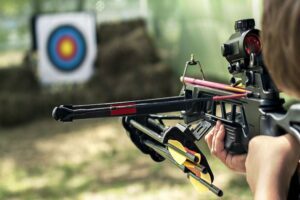 How To Achieve Target Shooting Along With Co-Witness? target shooting skills